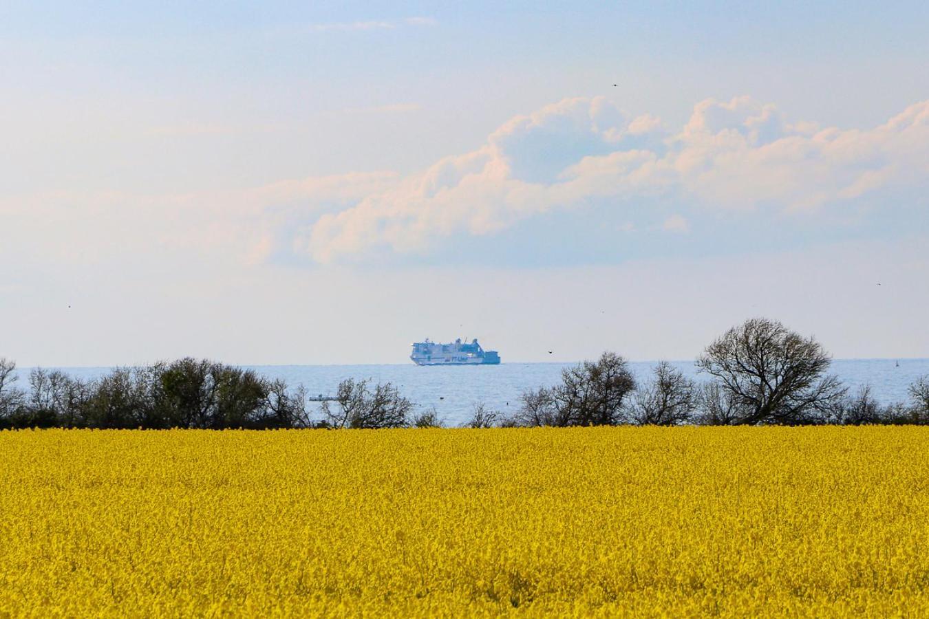 Meerblick Ostseebad Nienhagen Exterior foto
